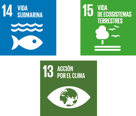 Las normas del Comité UNE de Biodiversidad contribuyen al cumplimiento de los siguientes ODS de la  ...