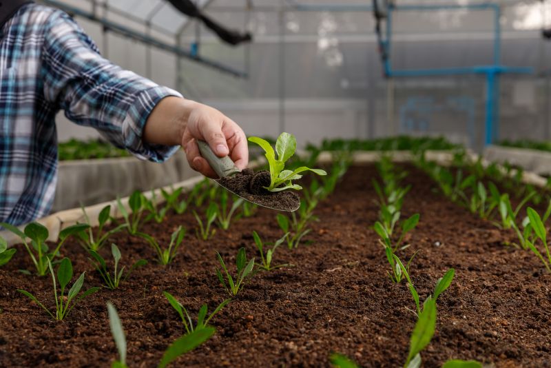 Nueva norma de etiquetado de productos fertilizantes