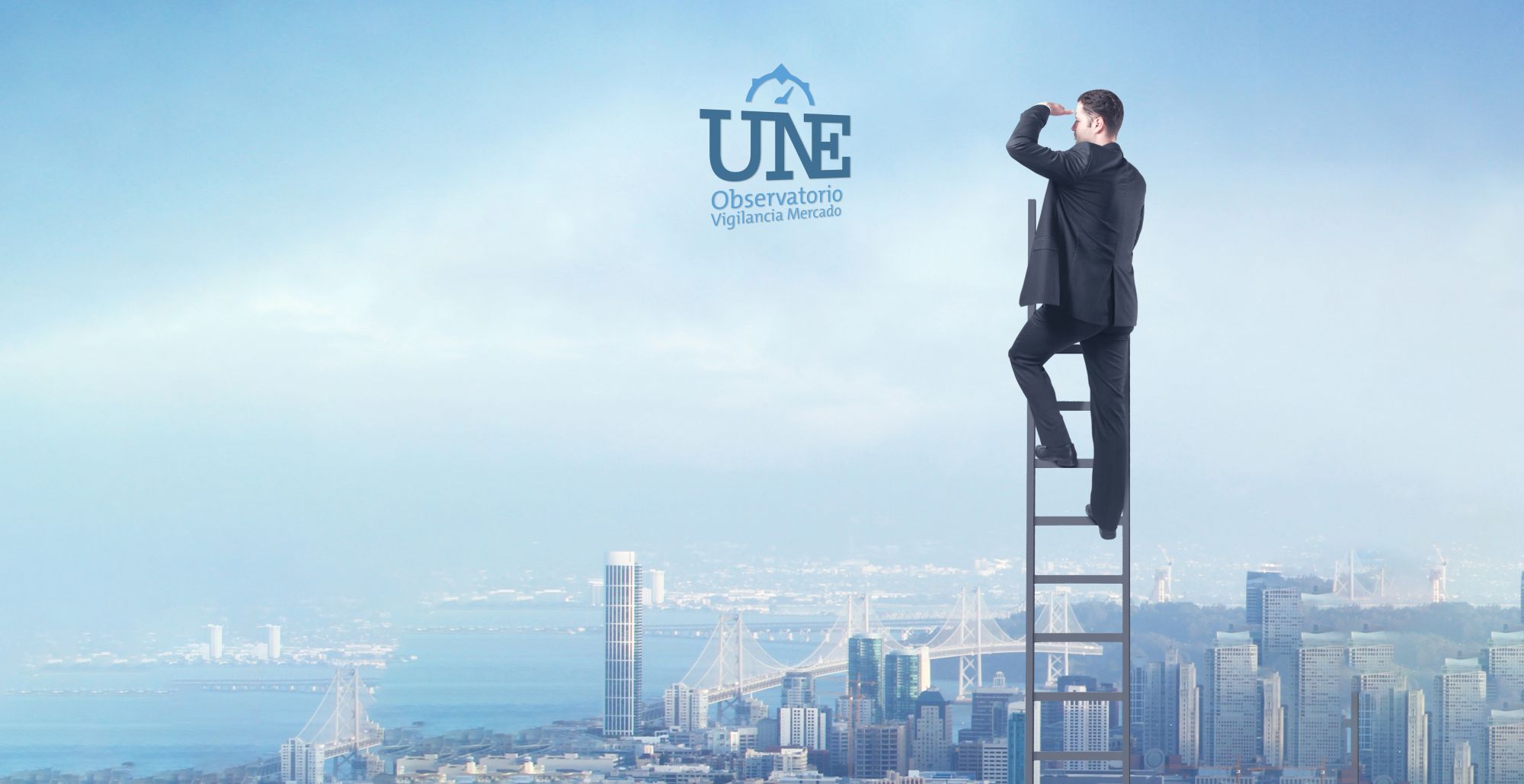 Observatorio de Vigilancia de Mercado: impulso a la colaboración público-privada