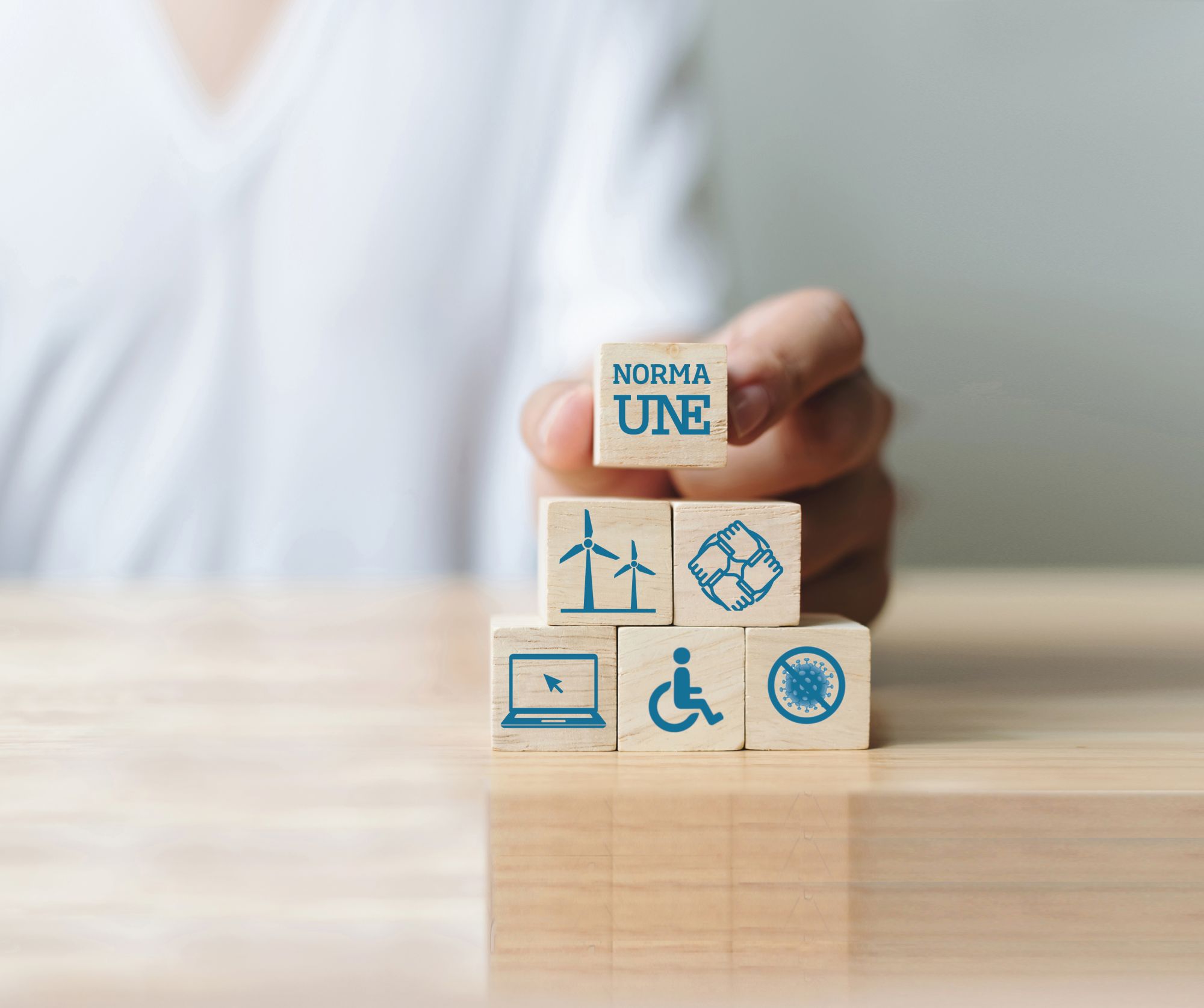 Plan Anual de Normalización 2021