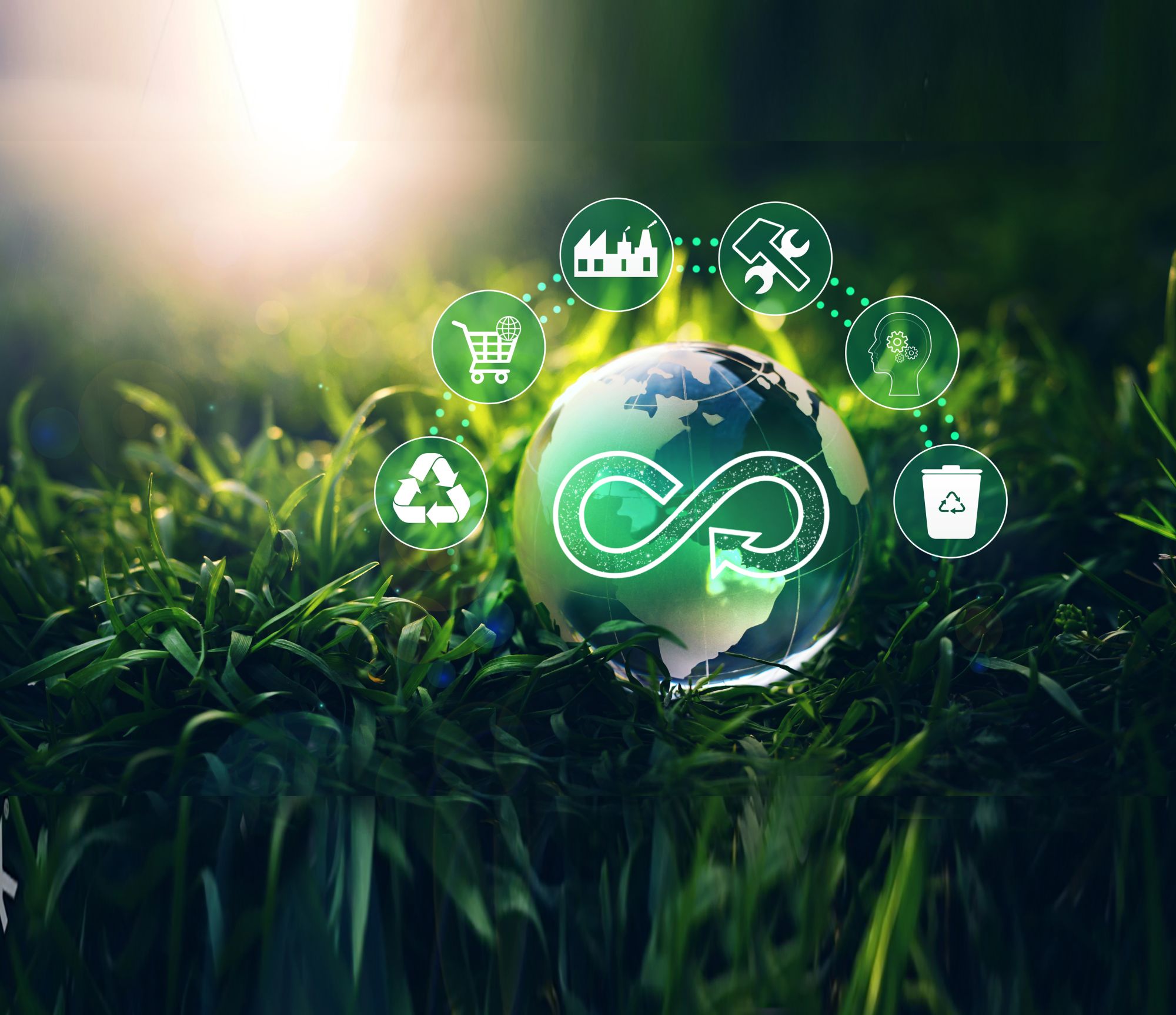 Pasaporte digital de producto: una puerta a la transparencia